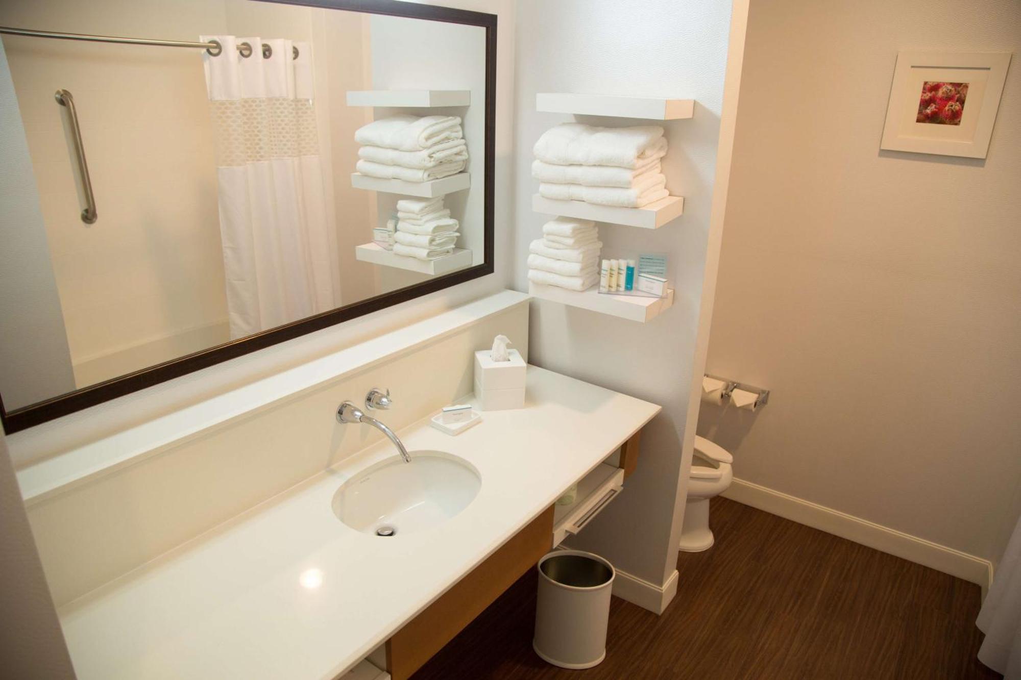 Hampton Inn And Suites By Hilton Mckinney Extérieur photo